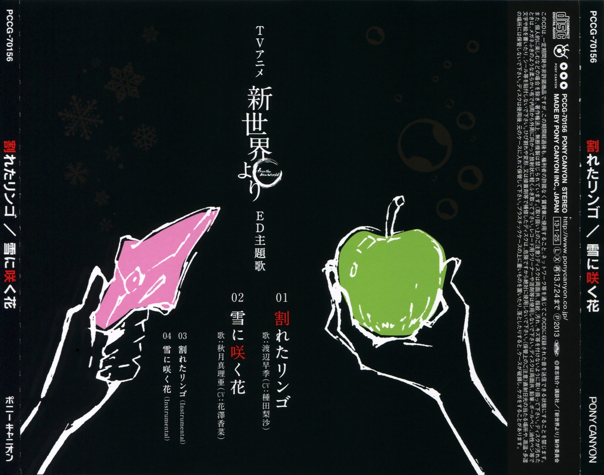 Case Cover Back Outer.jpg